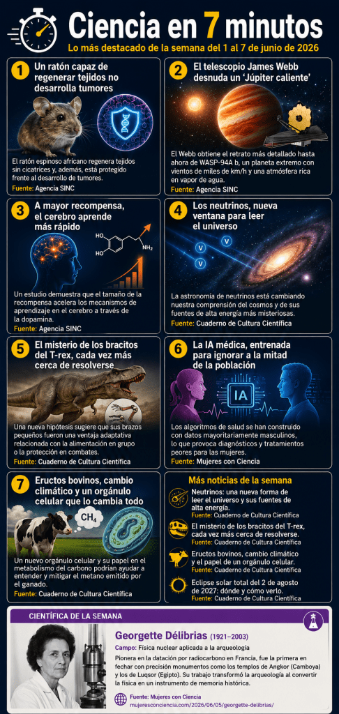 Esta semana la ciencia nos deja siete razones para detenernos. Un ratón africano que regenera tejidos y no desarrolla cáncer. El James Webb retratando la atmósfera de un planeta tan caliente que su año dura tres días. Un estudio que demuestra que las recompensas aceleran físicamente el aprendizaje en el cerebro. Los neutrinos abriendo una nueva forma de leer el universo. Una hipótesis nueva sobre los célebres bracitos del T-rex. La denuncia de que la inteligencia artificial médica está entrenada mayoritariamente con datos masculinos. Y un vínculo inesperado entre los eructos del ganado, el cambio climático y un orgánulo celular recién descubierto. Todo con enlace directo a las fuentes originales.